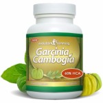 Garcinia Cambogia Evolution Slimming